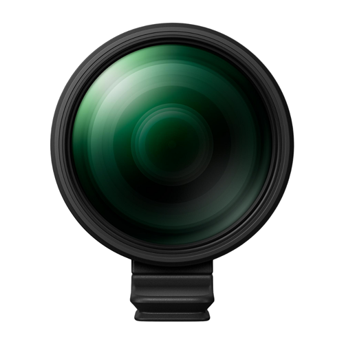 OM SYSTEM M.ZUIKO DIGITAL ED 150-600mm F5.0-6.3 IS - 04